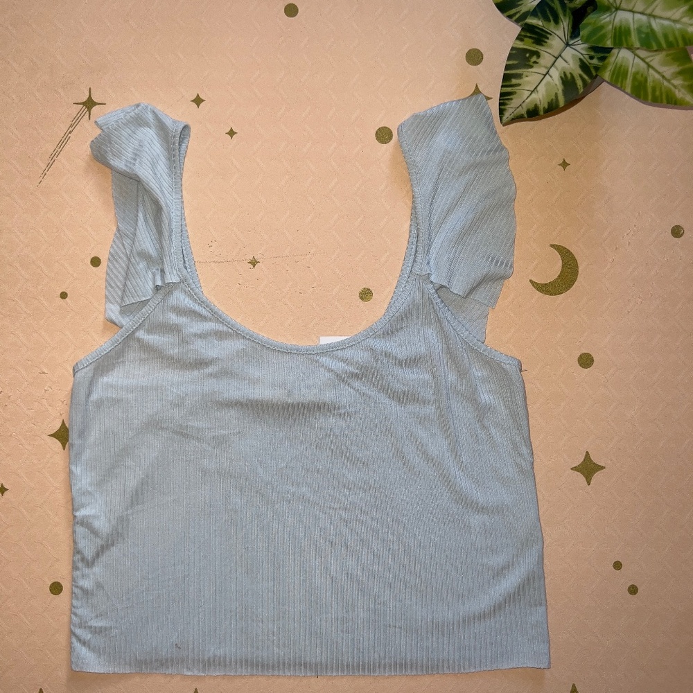 Molly Green Pacifica Crop Top in Baby Blue - Large